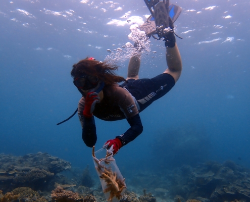 Coral restoration diver snorkeling eco2 diving mikindani mtwara tanzania