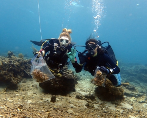 Collect and plant coral restoration mikindani mtwara eco2 diving