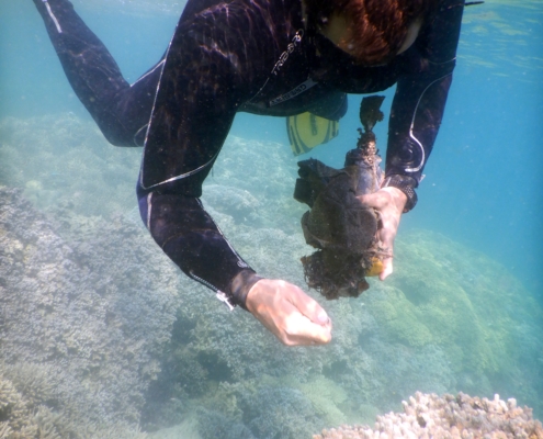 coral restoration underwater clean up dive against debris snorkeling eco2 diving mikindani mtwara tanzania