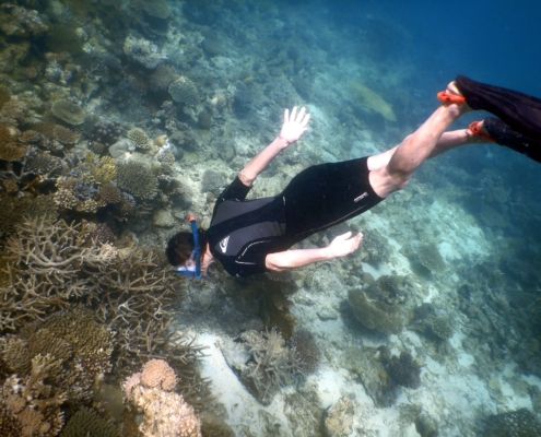 Snorkel sea turtles protection marine conservation eco2 diving mikindani mtwara tanzania