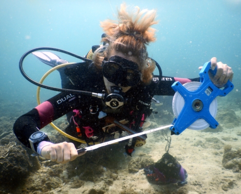 coral restoration survey reef eco2 diving mikindani mtwara tanzania