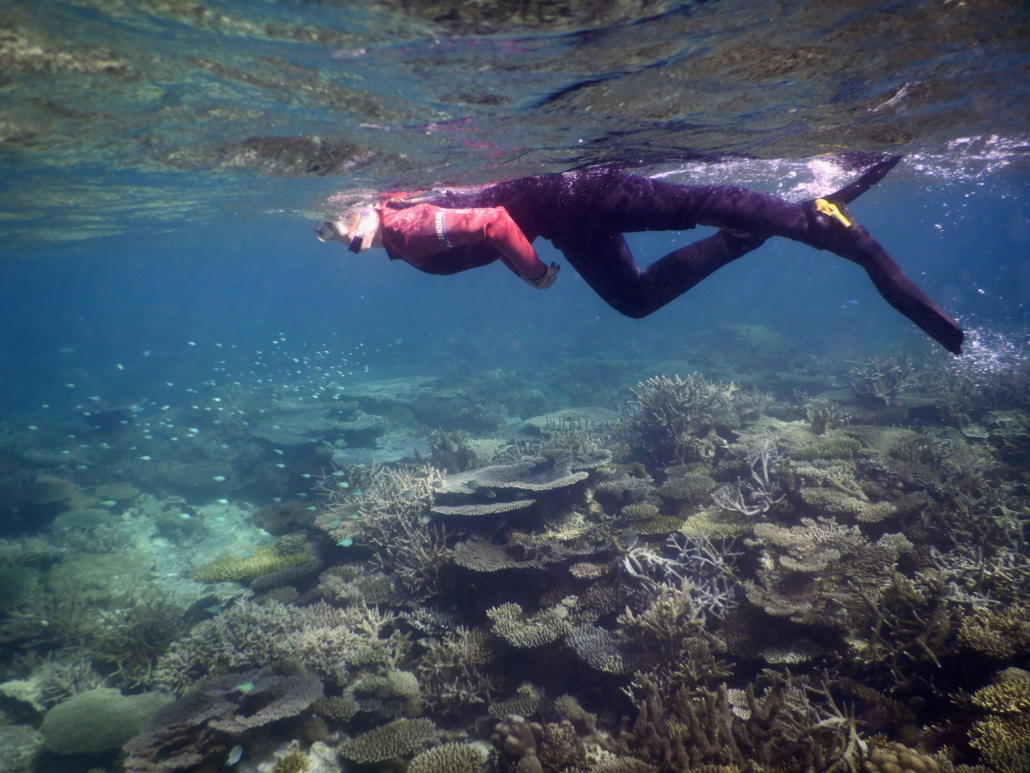 snorkel sea turtles protection marine conservation eco2 diving mikindani mtwara tanzania