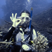 Coral restoration diver planting corals