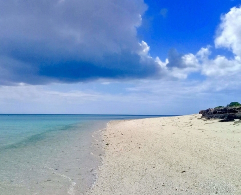 White sand beach sea turtles protection marine conservation eco2 diving mikindani mtwara tanzania